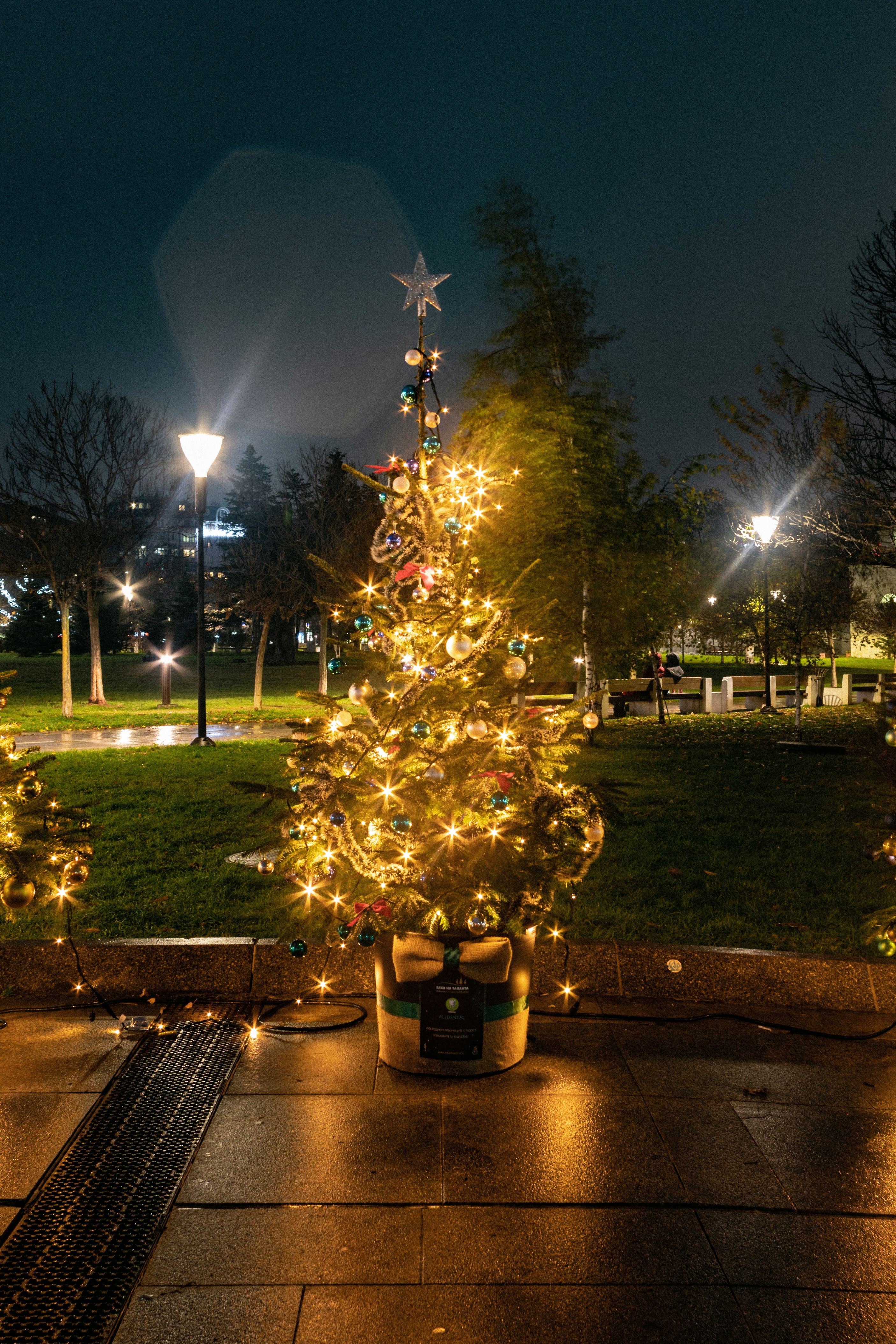 green christmas tree with string lights turned on during night time